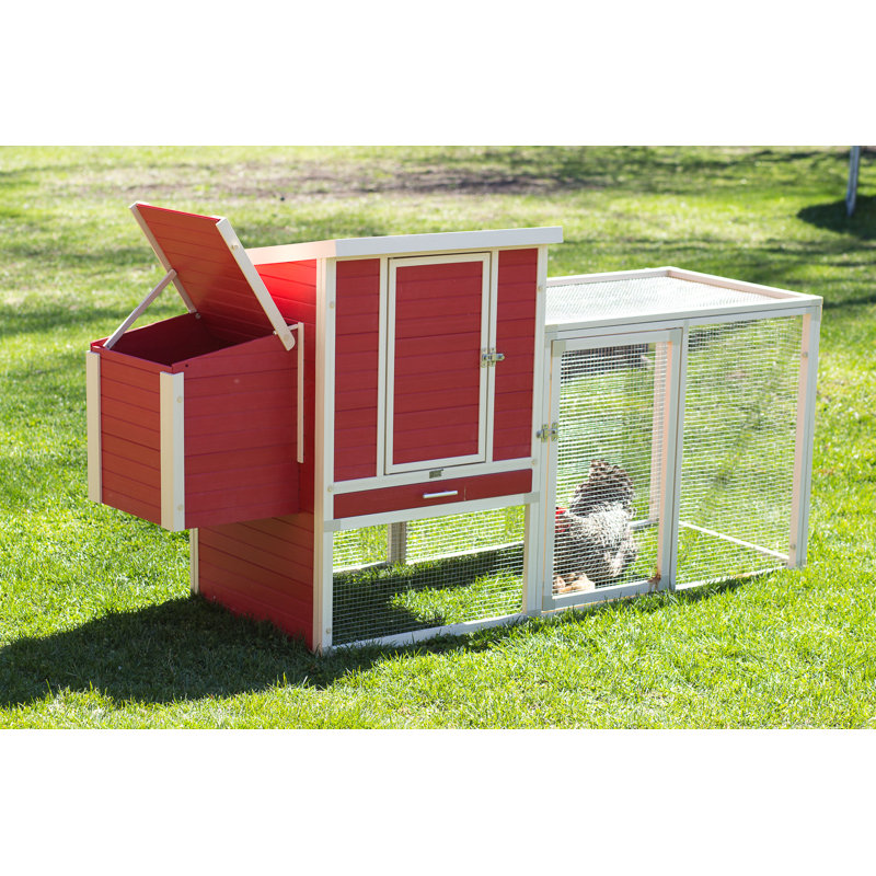 Tucker Murphy Pet Chappel Ecoflex Chicken Coop with Chicken Run/Nesting